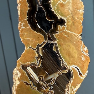 Polished Double Oregon Thunderegg with Inclusions