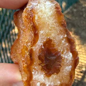 Natural Oregon Carnelian Agate – Orange & Brown Tones