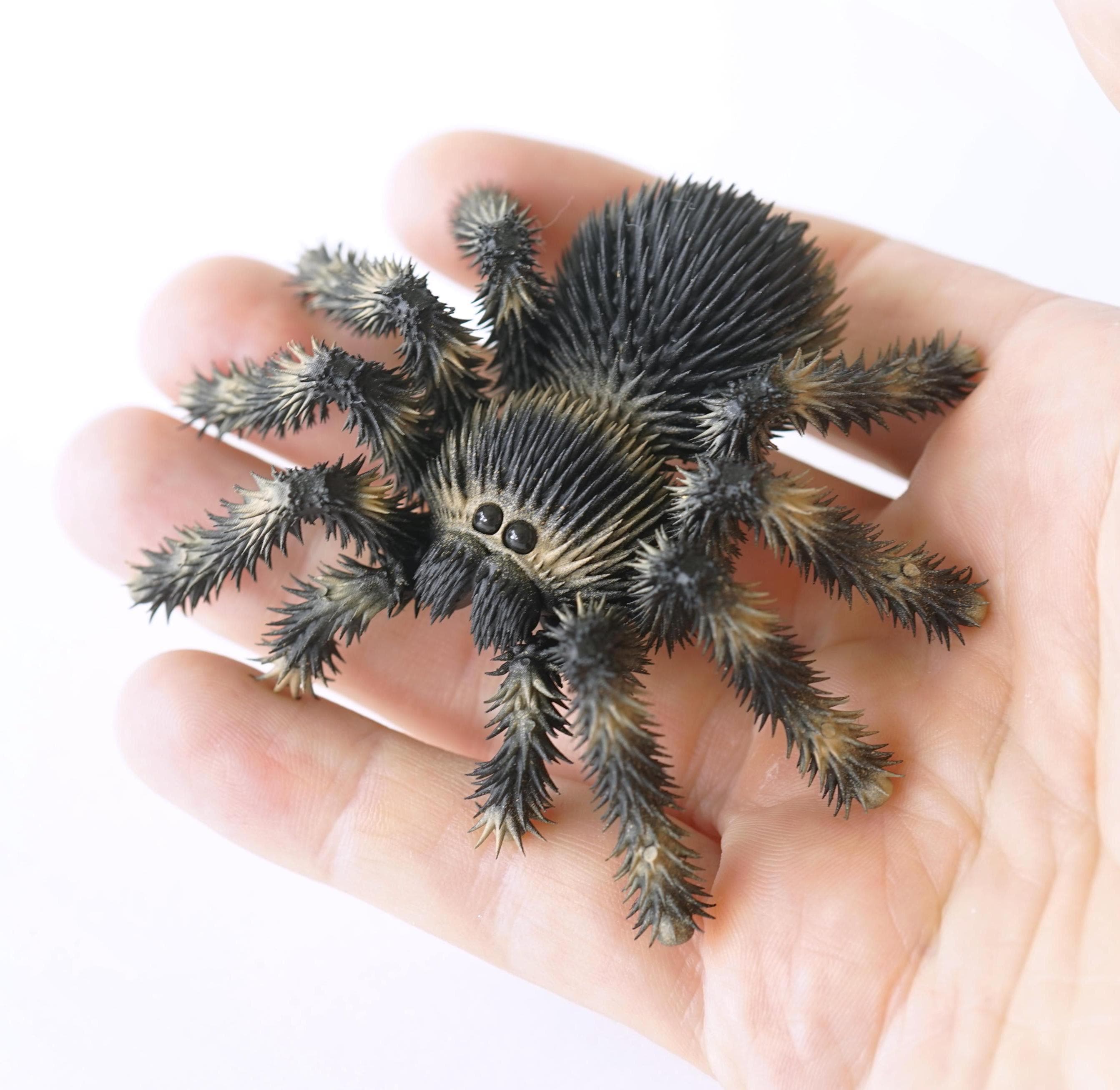 Lifelike Tarantula Toy: Scary Spider Model, Halloween Prank Gift