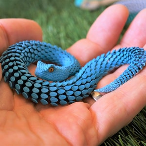 Figurine serpent Modèle articulé Viper Animal jouet Petit image 6