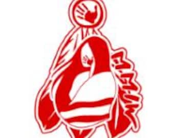 Mujer nativa de MMIW