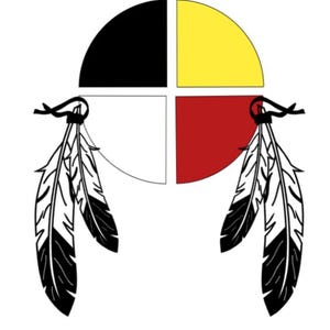 Medicine wheel, indigenous prints, native prints, ndn prints, n8v prints