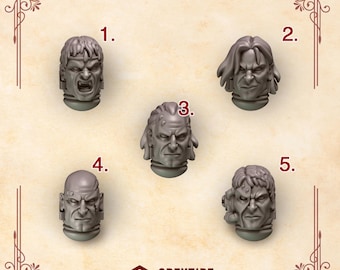 Crimson Lord Heads Ver.1 16K / 24K UHD de Greytide Studios Conversion Bits / Heralds / Space Knights / Grimdark Tabletop Wargaming