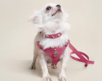Pink Leather Dog Collar, Harness, Leash | Luxury Designer |  Charms | Personalised | Adjustable | Small Size | Step-in | No-Pull | Comfort