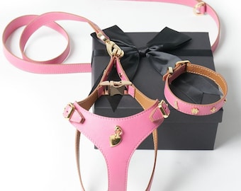 Luxury Pink Matching Leather Dog Collar, Harness, Leash Set | Charms | Personalised | Adjustable | Small Size | Step-in | No-Pull | Comfort