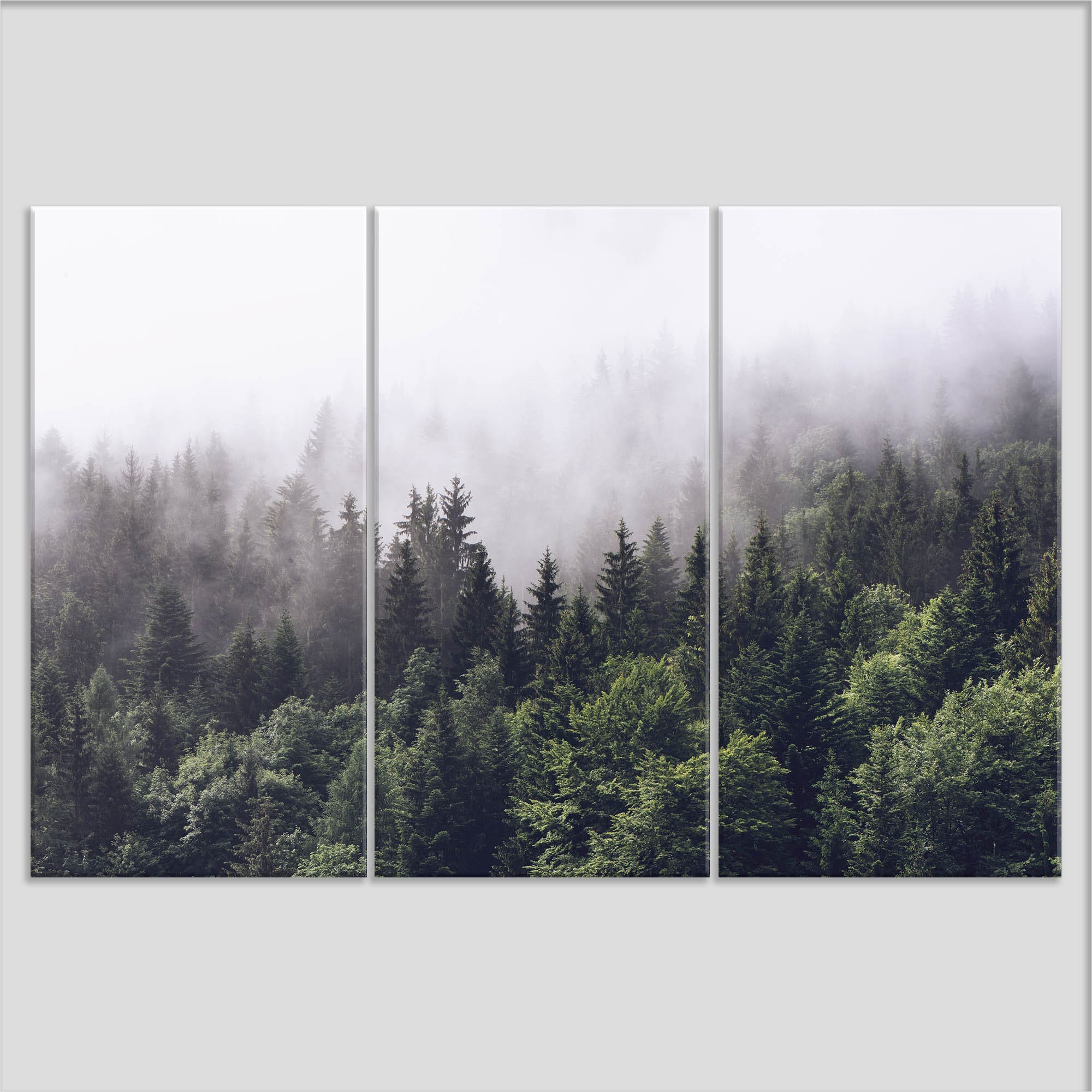 Forest Canvas Print, Foggy Forest Landscape Print, Forest Wall Art ...