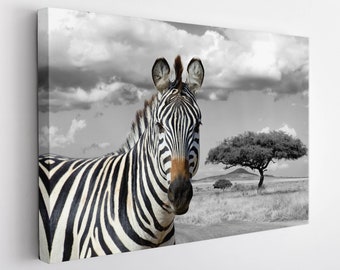Zebra Canvas Print, Zebra Wall Art, Zebra Print, Animals Canvas Art