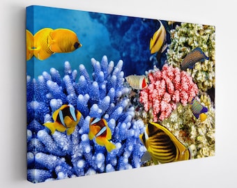 Underwater Canvas Print, Ocean Life Canvas Art, Ocean Wall Art, Nature Landscape Canvas Art
