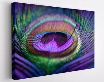 Peacock Feather Canvas Print, Peacock Canvas Wall Art, Feather Print