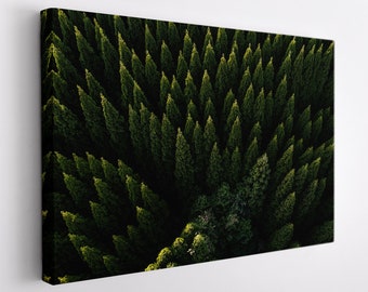 Trees Canvas Print, Forest Wall Art, Nature Landscape Canvas Art