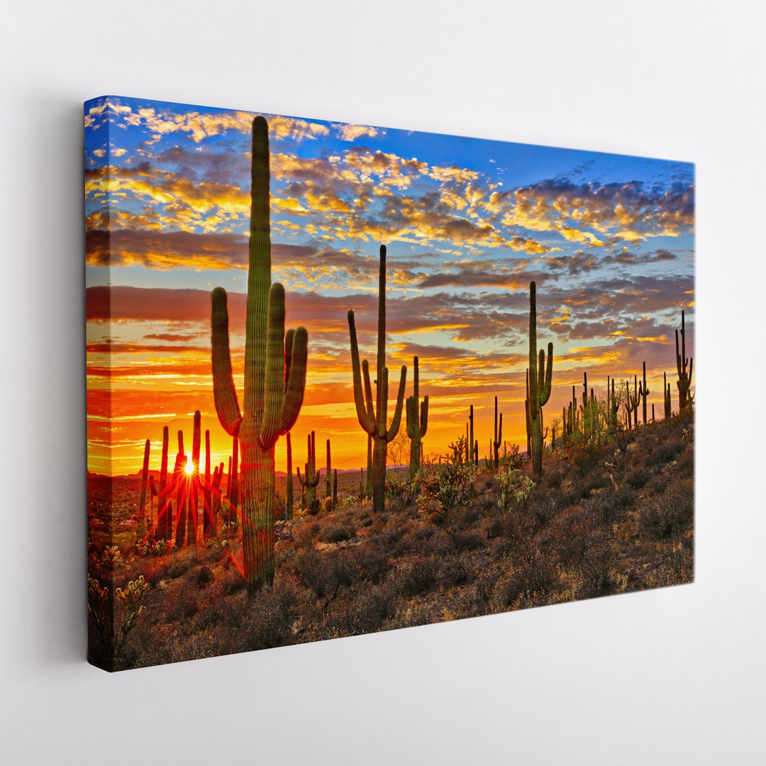 Arizona Desert Canvas Print, Arizona Wall Art, Sonoran Desert Canvas ...