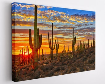 Arizona Desert Canvas Print, Arizona Wall Art, Sonoran Desert Canvas Art