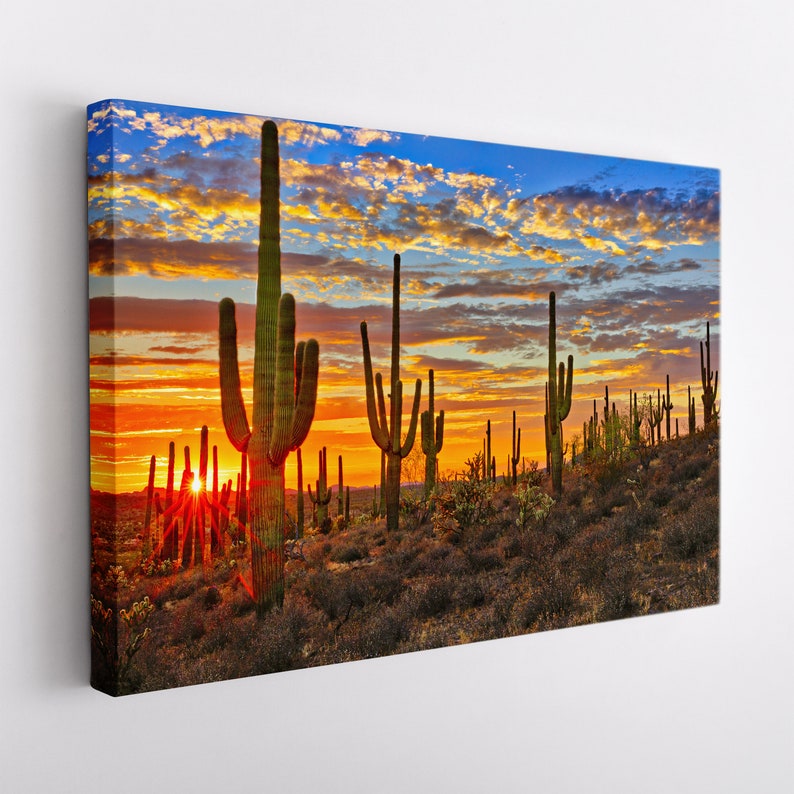 Arizona Desert Canvas Print Arizona Wall Art Sonoran Desert - Etsy