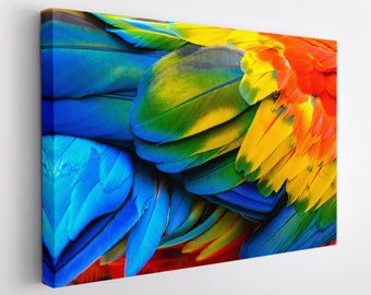 Parrot Feathers Canvas Print, Macaw Canvas Wall Art, Feathers Print