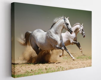 Horses Canvas Print, Horse Wall Art, Horse Print, White Horses Canvas Art