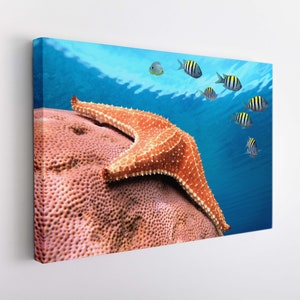 Underwater Wall Art, Starfish Canvas Art, Diving Canvas Print, Ocean Life Canvas Art
