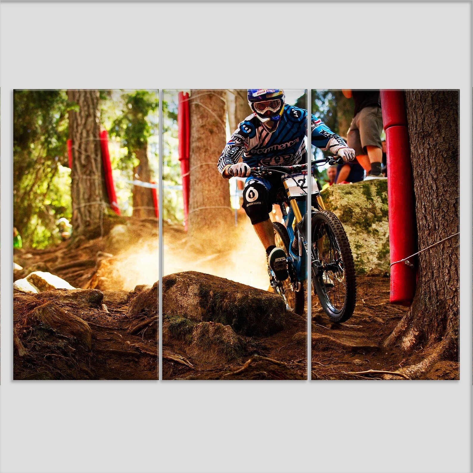 Downhill Mountain Bike Canvas Print, Mountain Bike Canvas Art, Downhill