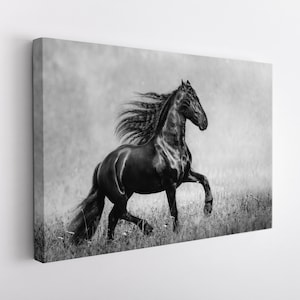 Horse Canvas Print, Horse Wall Art, Black Horse Print, Black And White Horse Canvas Art