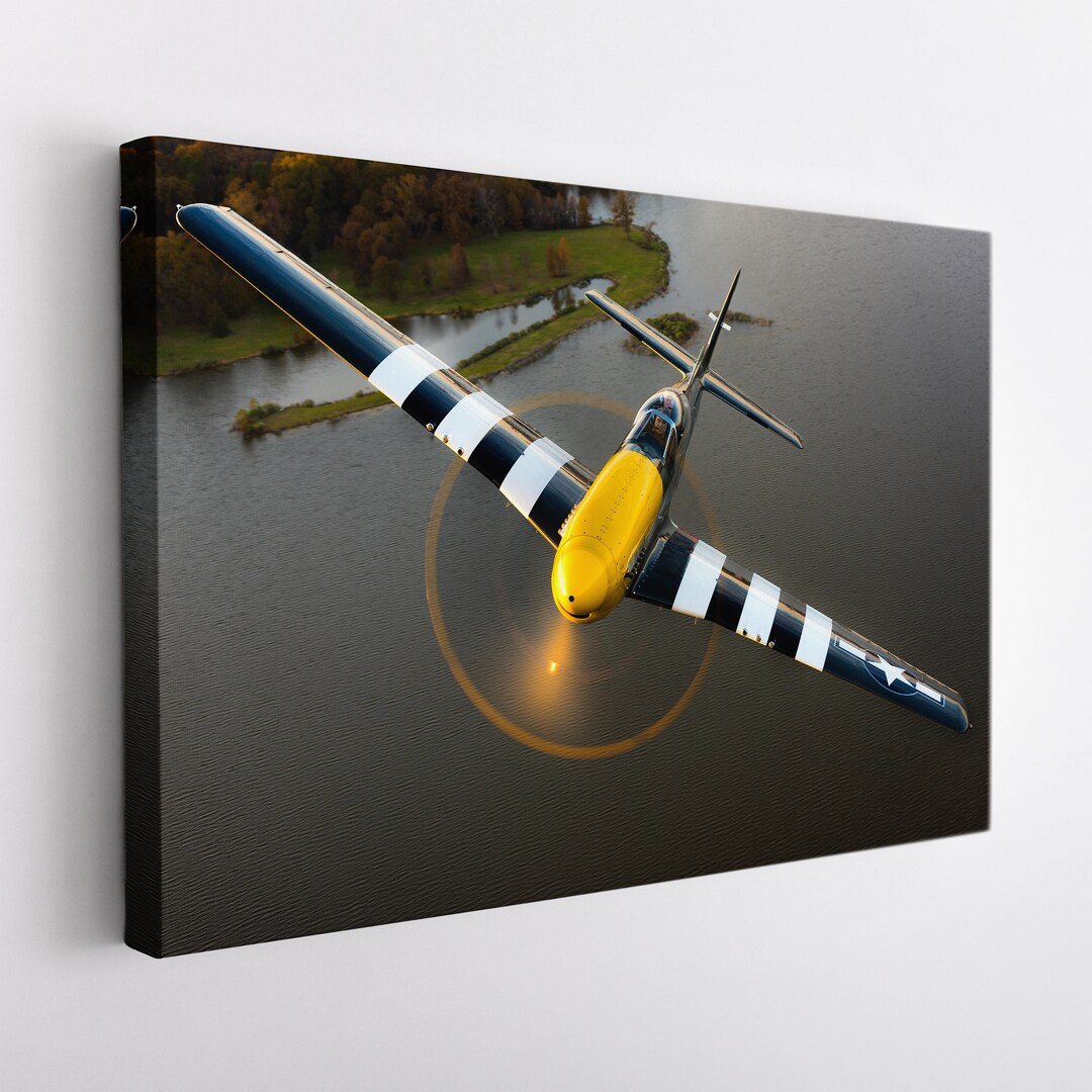 Vintage Airplane Canvas Print, Aircraft Wall Art, Pilot Gift, Large