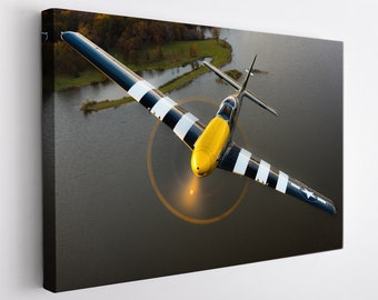 Vintage Airplane Canvas Print, Aircraft Wall Art, Pilot Gift, Large Sports Plane Print