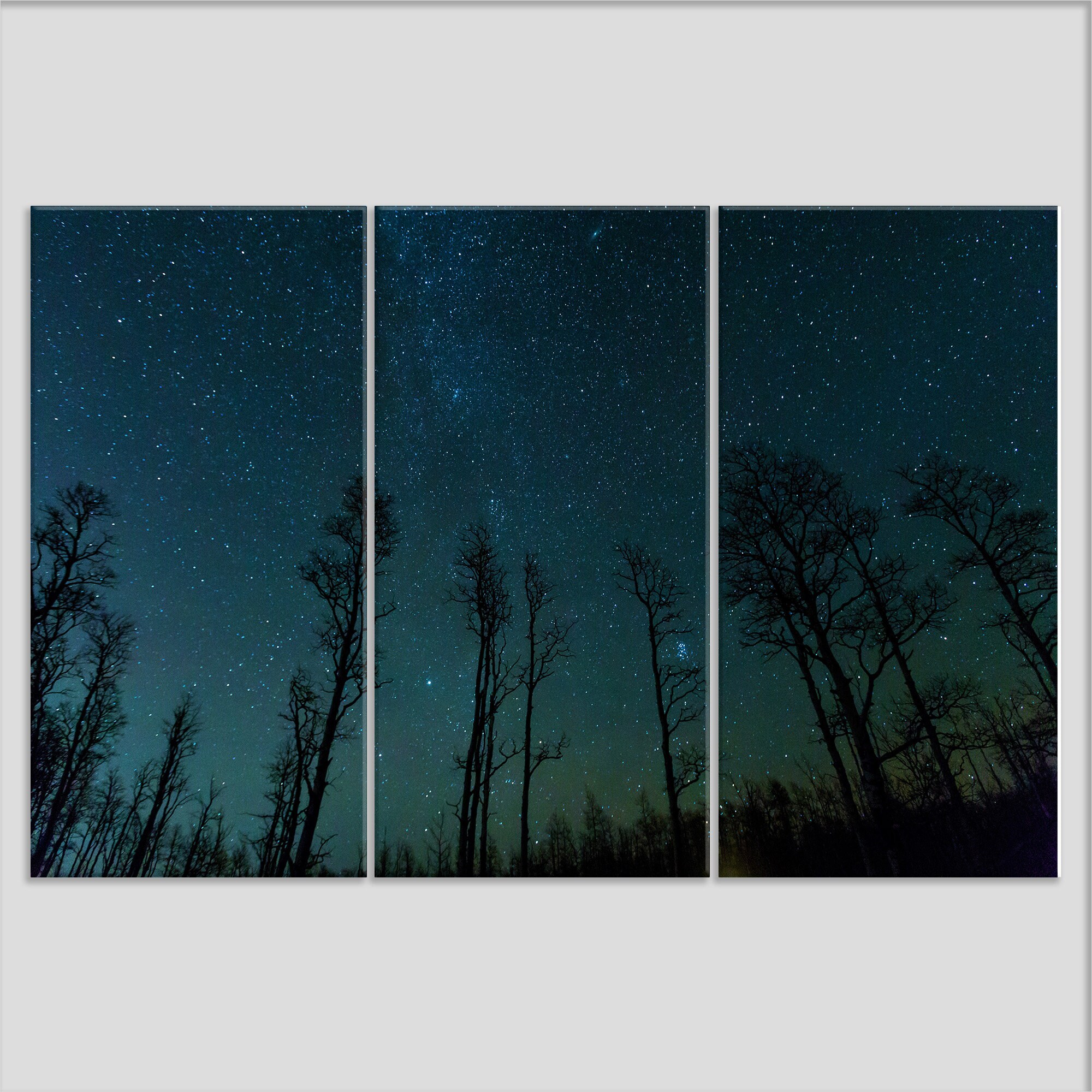 Stars Over Trees Canvas Print, Night Sky Canvas Art, Night Forest Wall ...
