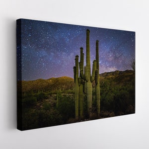 Sonoran Desert, Arizona Canvas Print, Arizona Wall Art, Arizona Desert Canvas Art