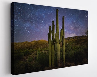 Sonoran Desert, Arizona Canvas Print, Arizona Wall Art, Arizona Desert Canvas Art
