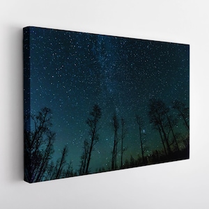 Stars Over Trees Canvas Print, Night Sky Canvas Art, Night Forest Wall Art, Nature Landscape Canvas Art
