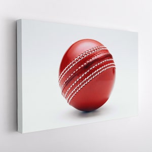 Cricket Canvas Print, Cricket Wall Art, Minimalist Cricket Print, Cricket Fan Gift