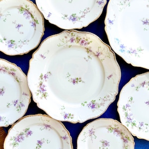Antique Limoges Plates: GDA & Charles Field Haviland, Floral Dinnerware