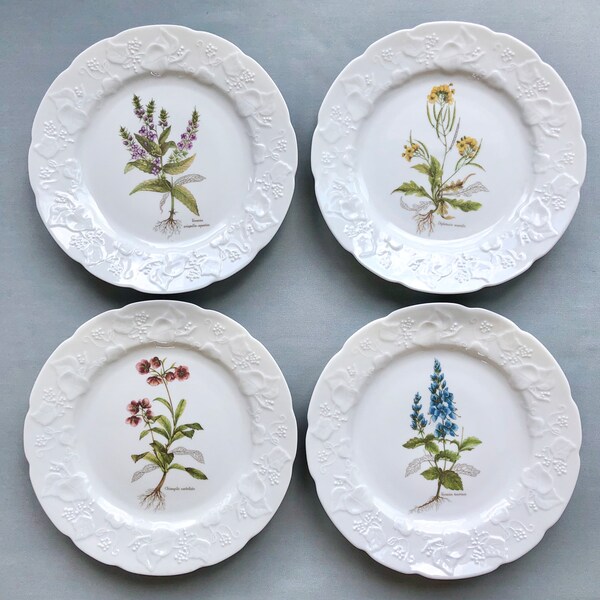 Botanical Plates - Etsy