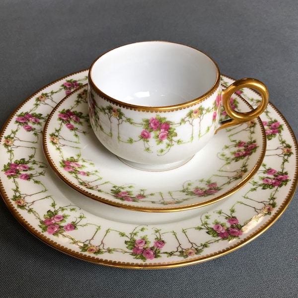 T&V, Tressemanes and Vogt Limoges France China, teacups, dessert set, dinnerware set