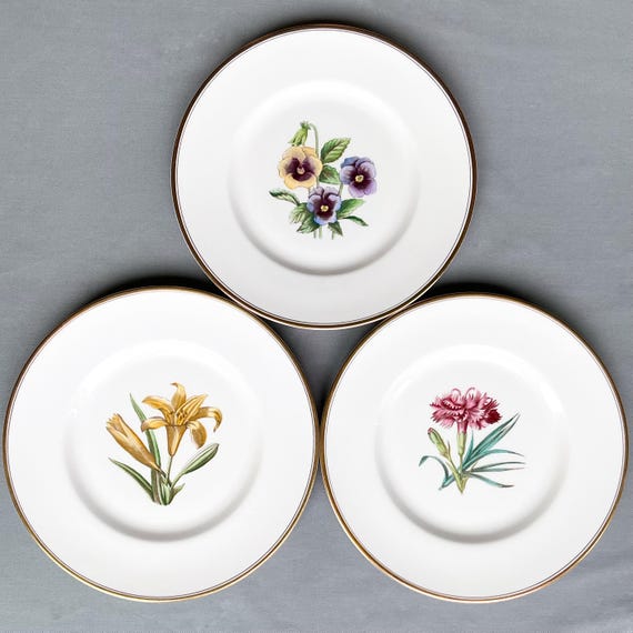  Worcester 花柄皿 6枚セット Royal Worcester Botanical Plates, Vintage Floral Accent Plates