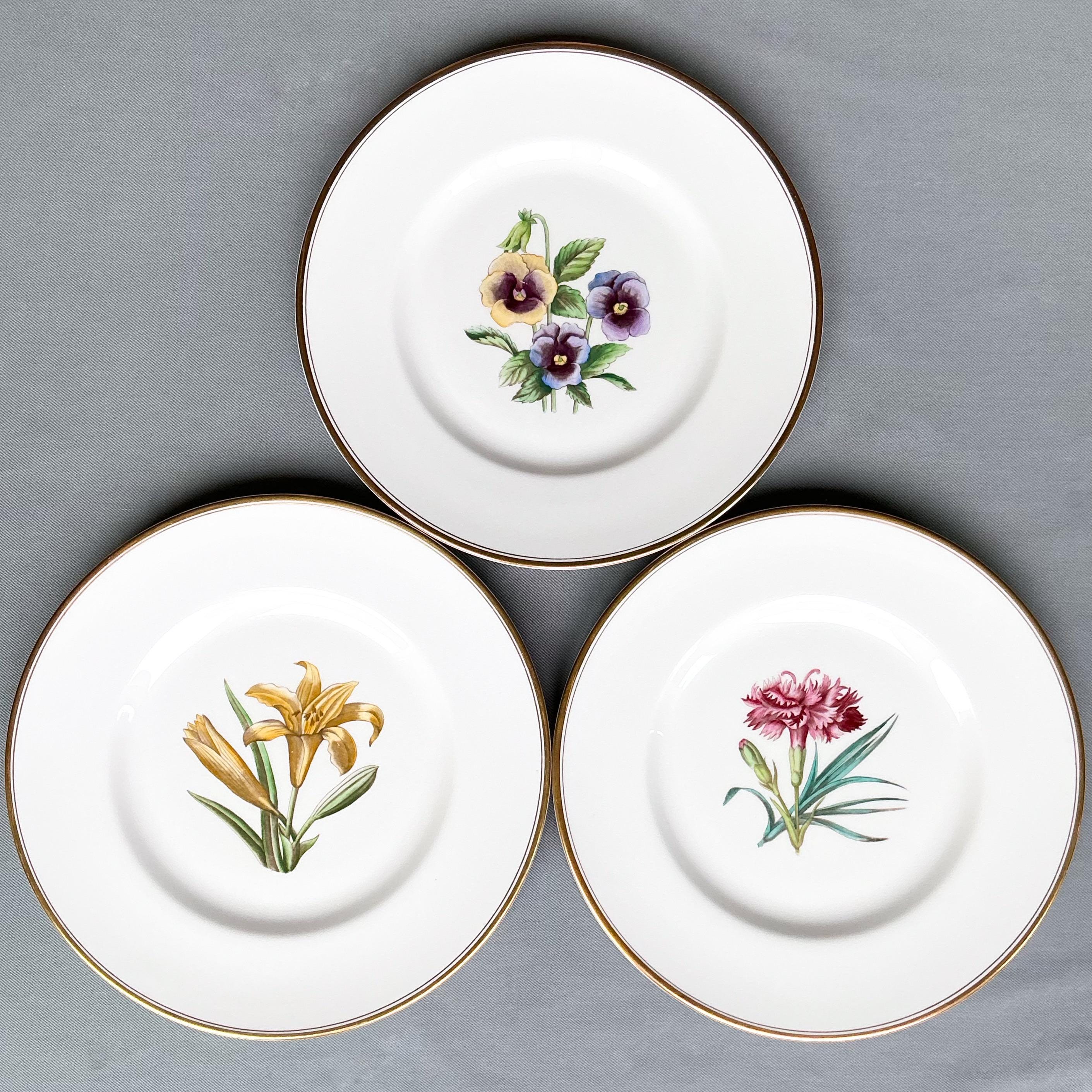 Royal Worcester Botanical Plates, Vintage Floral Accent Plates