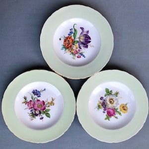 Vintage dinner plates with floral centre and pastel green rim. Bone china from England. 3 pc