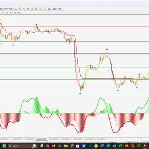 May include: A financial chart with a blue line, green bars, and red lines. The chart shows the price of a currency pair over time. The chart is divided into several sections, each with its own set of data. The chart is used to track the price of a currency pair and to identify trading opportunities.