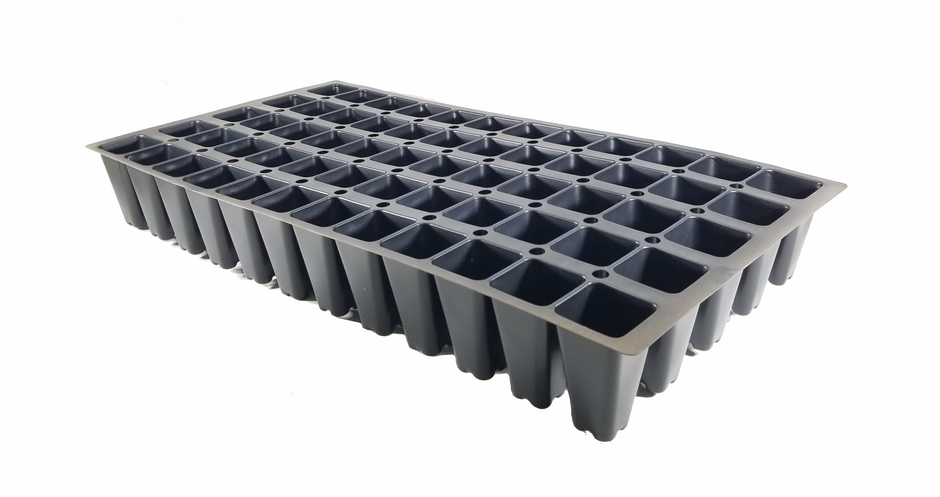 Black Mondo Grass Plugs Ophiopogon Japonicus Nigrescens Etsy