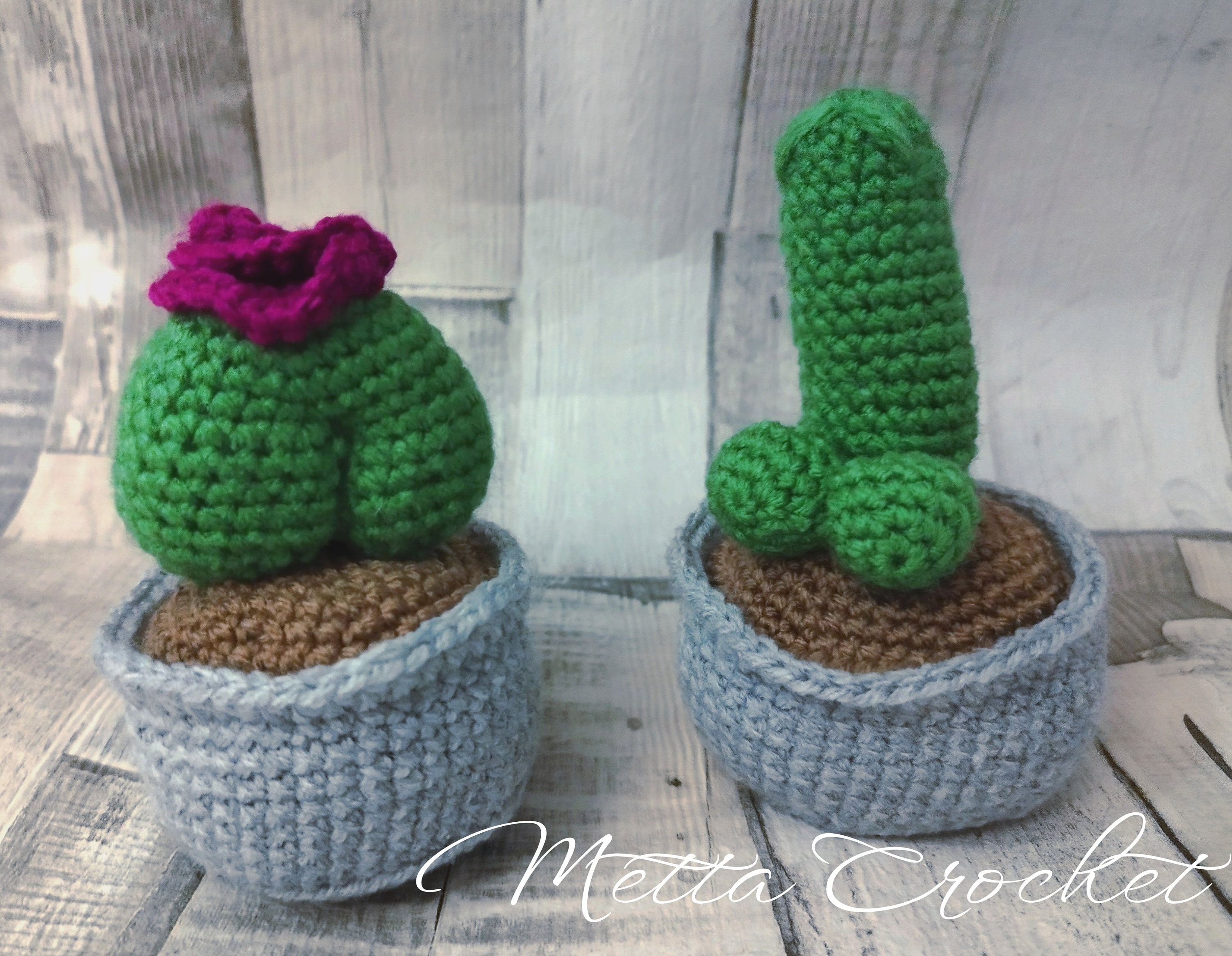 Cactus dildo - Etsy sterreich