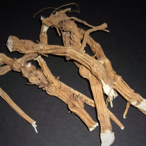 Organic Stinging Nettle Root - Hex Breaker, Curse Remover, Witchcraft Herbs, Spiritual Supplies, Altar Tools