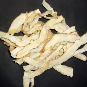 Solomon&#39;s Seal Root - Protection Spells, Witchcraft Herbs for Spellwork, Apothecary Root herbs, Spiritual Supplies, Altar Tools