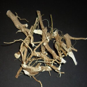 Raíz de Anamú Orgánica - Raíces de Gallina de Guinea, Raíces Enteras Silvestres, Hierbas de Brujería para Hechizos, Hierbas de Raíz de Boticario, Curiosidades Espirituales
