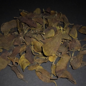 Scorn The Earth Herb - Baneful Work, Revenge Spells, Hoodoo Supplies, Witchcraft Herbs, Occult Rituals, Spiritual Tool, Natural Curio