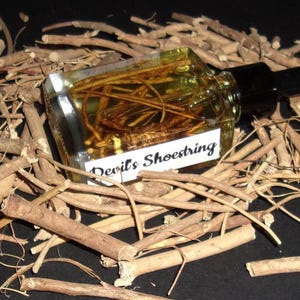 Devil's Shoestring Oil, Hoodoo Supplies, Altar Tools, Witchcraft Supplies, Protection Spells