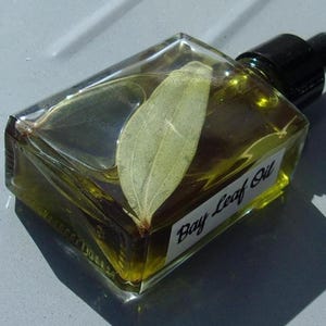 May include: A clear, rectangular glass bottle filled with yellow oil and a large bay leaf. The bottle has a black dropper top and a white label that reads "Bay Leaf Oil".