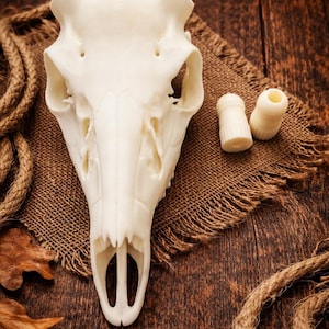 3D Printed Deer European Mount Skull Real Antler Mount