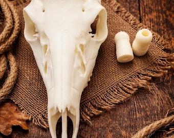 Cráneo de ciervo de monte europeo impreso en 3D con montura de asta real