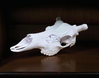3D Gedruckter Maultier Deer Schädel mit Echtem Geweih
