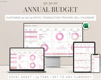 50/30/20 Budget Planner: Excel Template, Personal Finance (Digital Download)