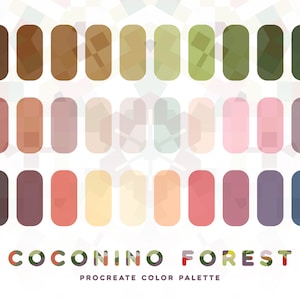 Może przedstawiać: Paleta kolorów do Procreate o nazwie "Coconino Forest" z 18 próbnikami kolorów w odcieniach brązu, beżu, zieleni, różu, czerwieni, żółci i błękitu.