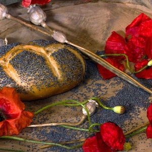 HANDMADE ORGANIC POPPY Seeds - 1,85kg - 4 pounds High quality Organic Fresh Poppy Seeds For - Food , Herbs & Spices International Delivery
